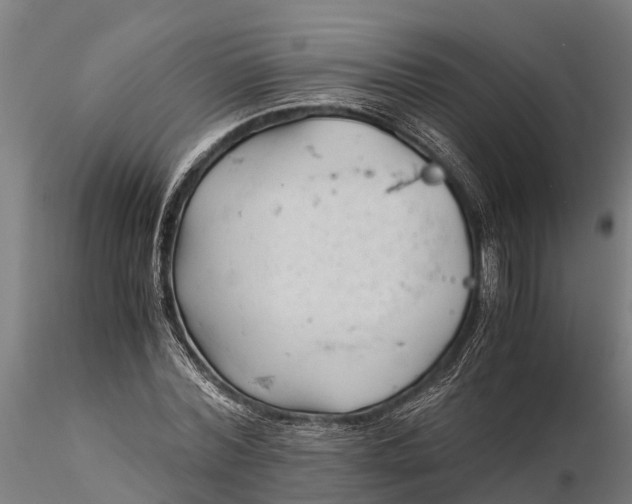 X0000115680780200912031418