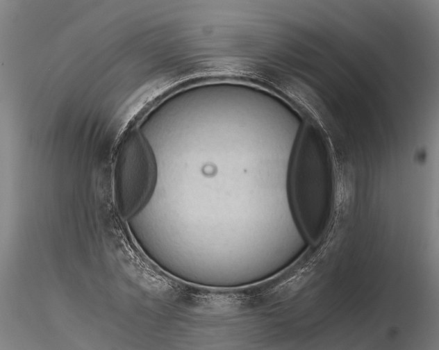 X0000115680781200912031418