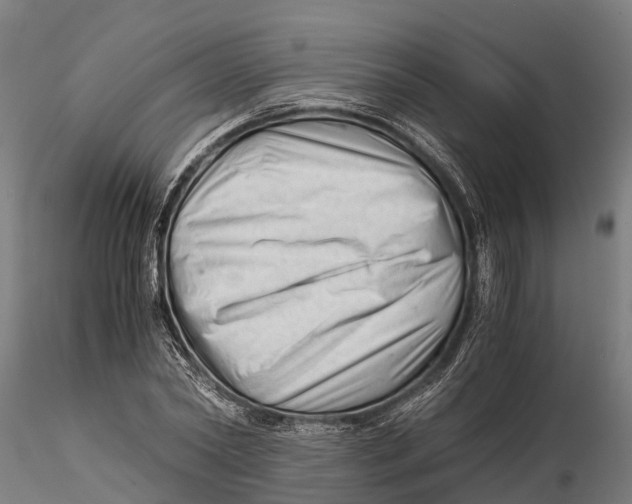 X0000115680782200912031418