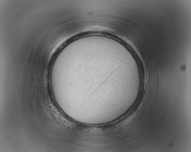 X0000115680783200912031418