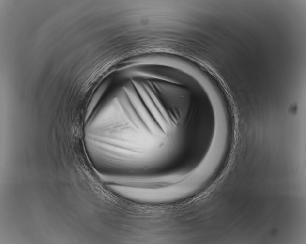 X0000115680785200912031418