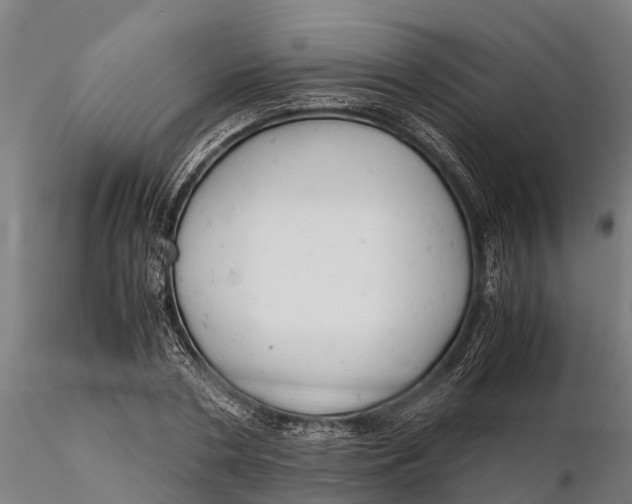 X0000115680786200912031418