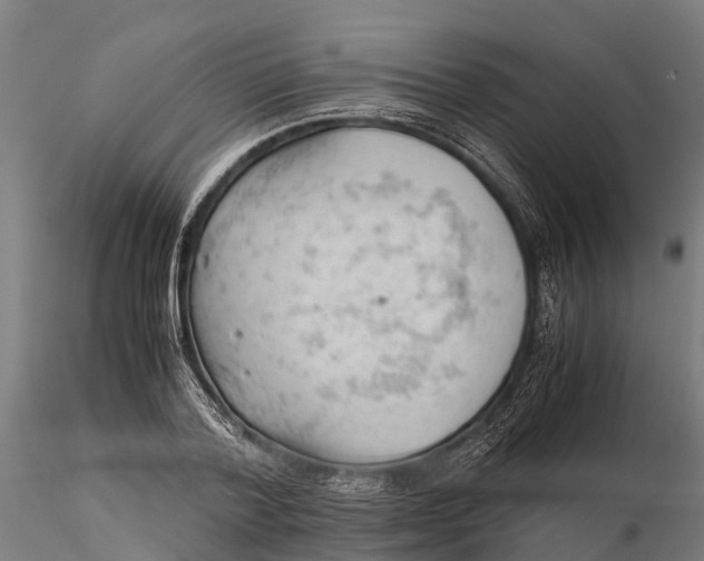 X0000115680788200912031418