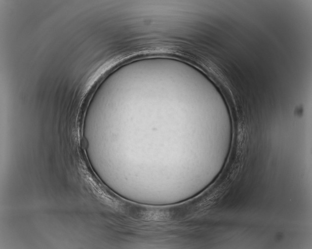 X0000115680789200912031418