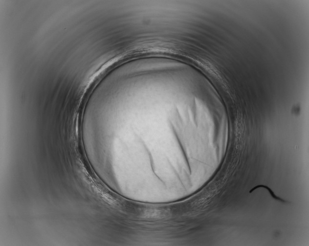 X0000115680790200912031418