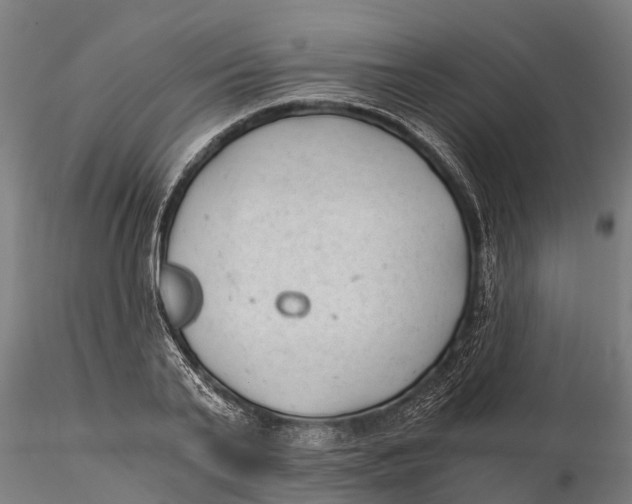 X0000115680791200912031418