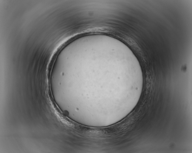 X0000115680792200912031418