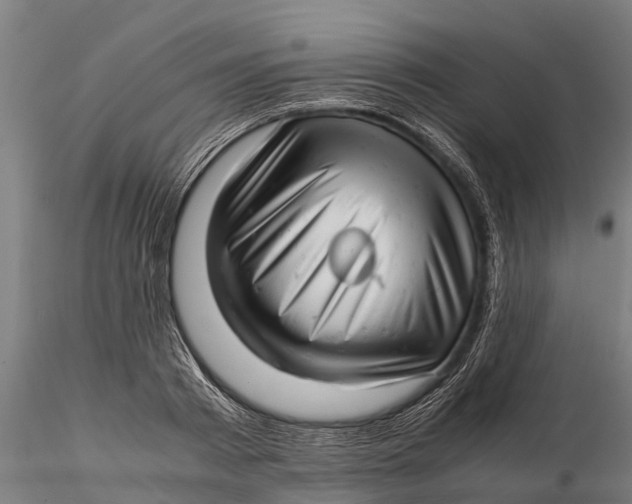 X0000115680793200912031418