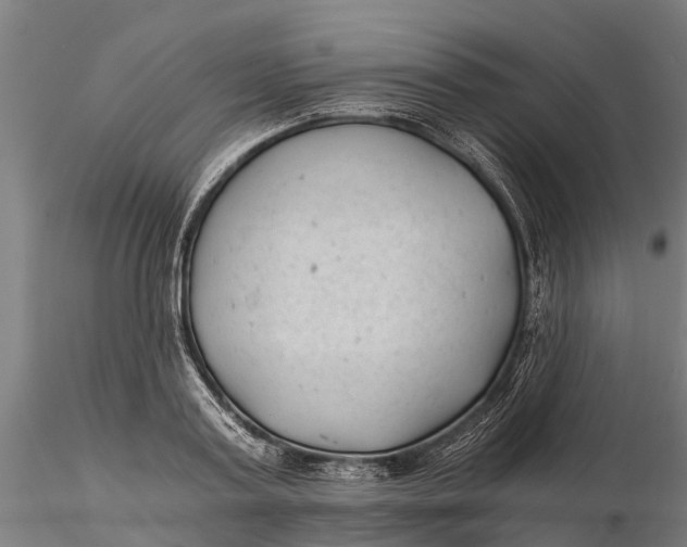 X0000115680795200912031418