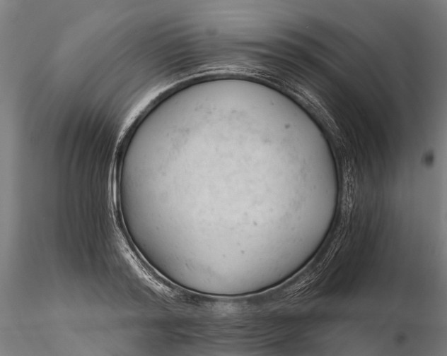 X0000115680796200912031418