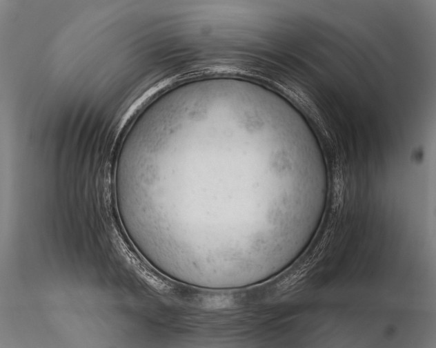 X0000115680798200912031418