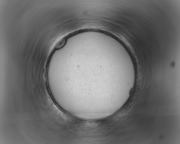 X0000115680799200912031418