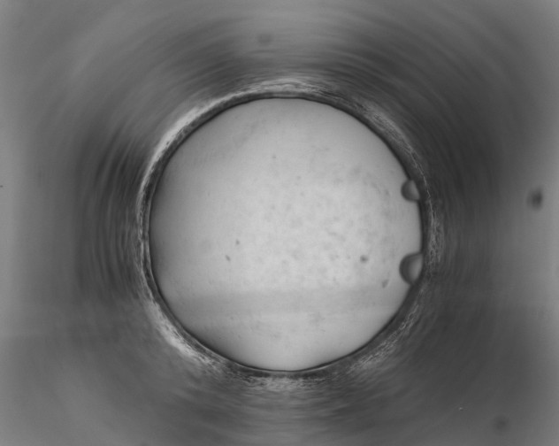 X0000115680800200912031418