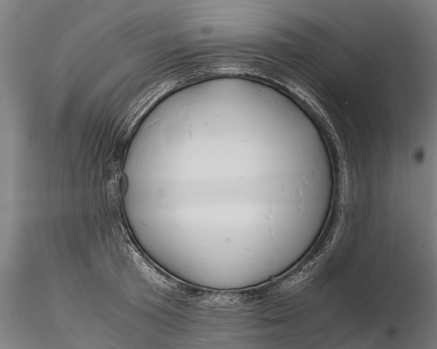 X0000115680801200912031418