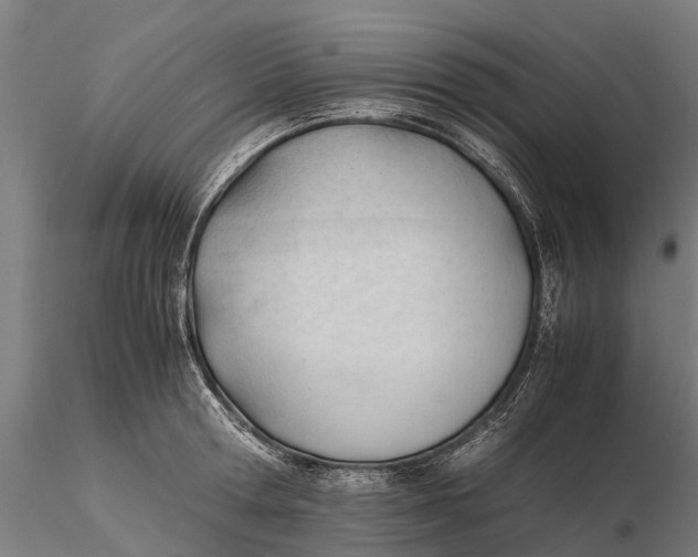 X0000115680802200912031418