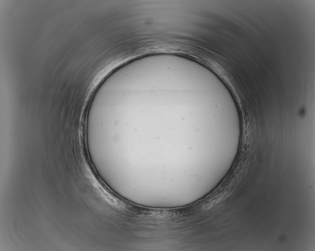 X0000115680803200912031418