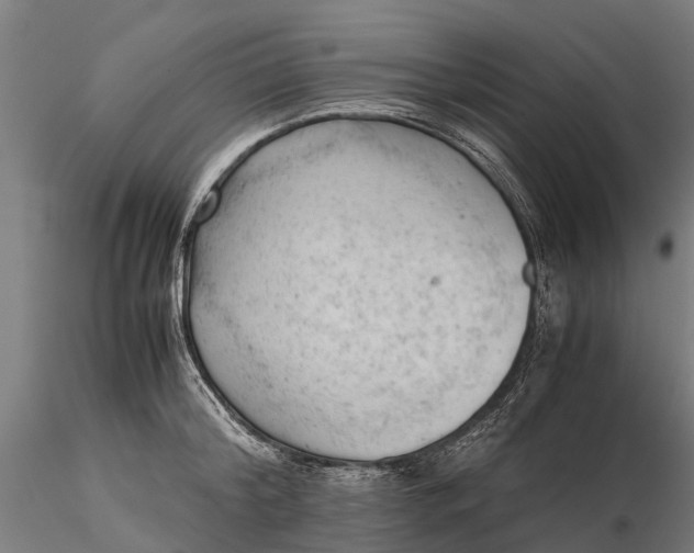 X0000115680804200912031418