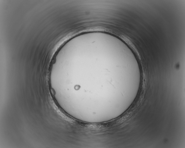 X0000115680805200912031418