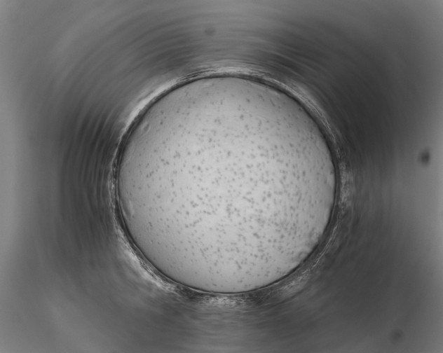 X0000115680806200912031418