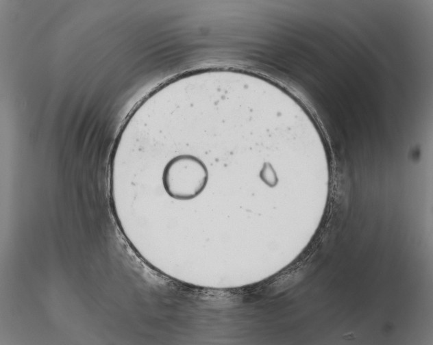 X0000115680807200912031418