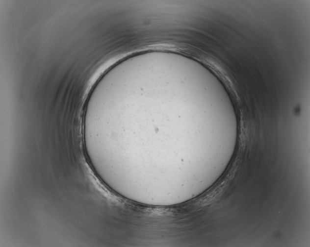 X0000115680808200912031418