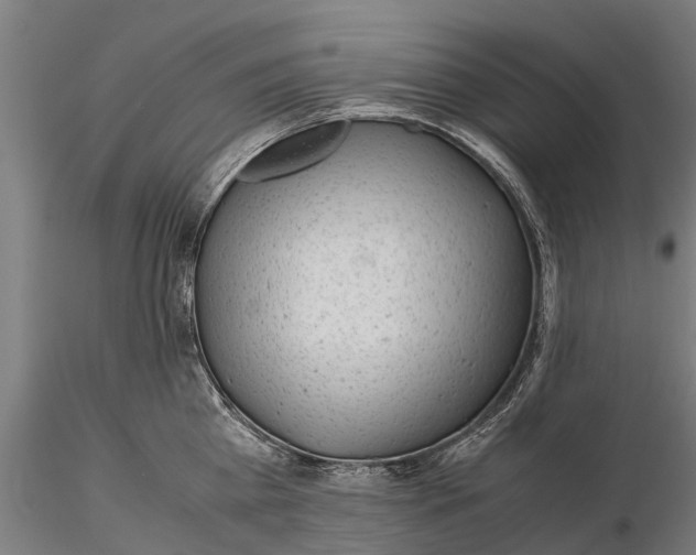 X0000115680809200912031418