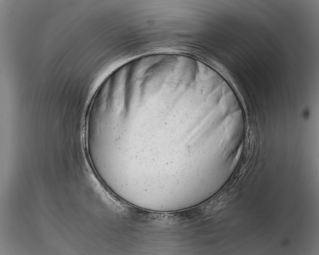 X0000115680811200912031418