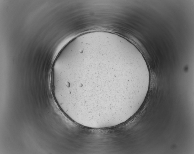 X0000115680812200912031418