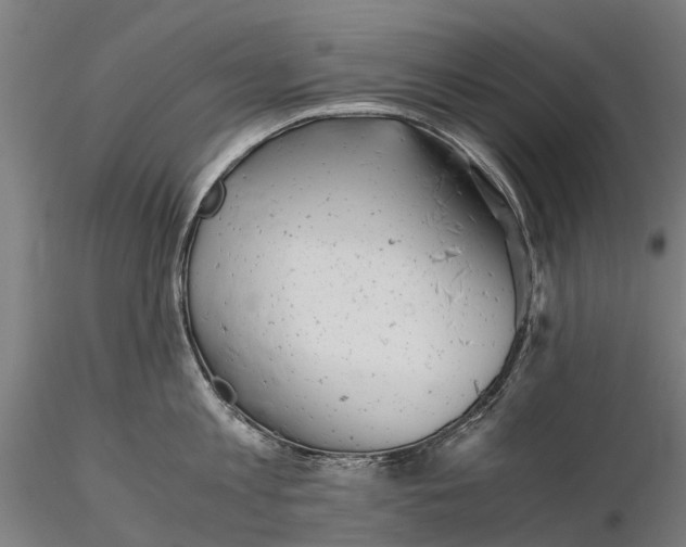 X0000115680813200912031418