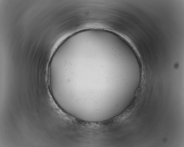 X0000115680815200912031418