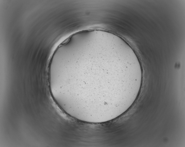 X0000115680816200912031418