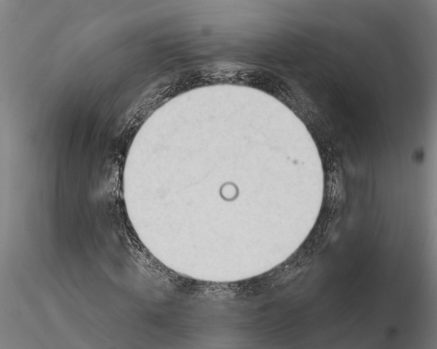 X0000115680820200912031417