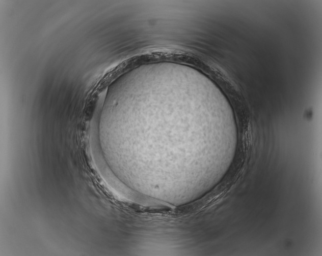 X0000115680822200912031417