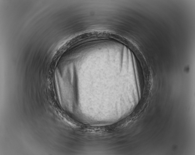 X0000115680823200912031417