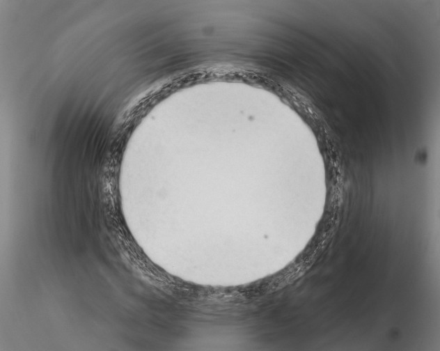 X0000115680824200912031417