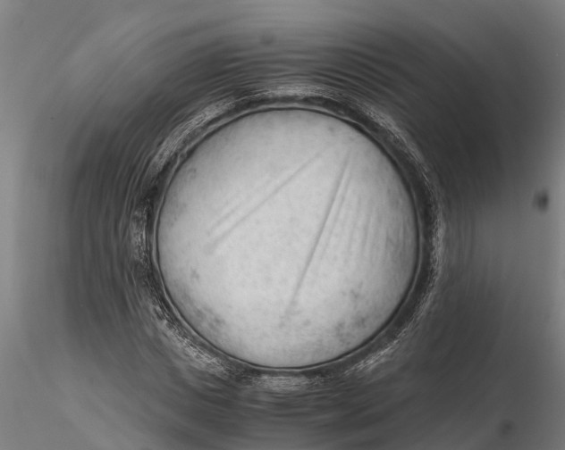 X0000115680825200912031417