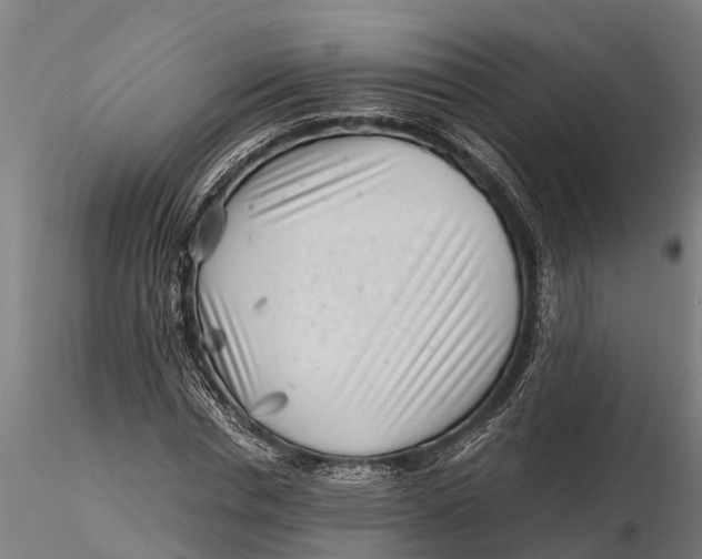 X0000115680826200912031417