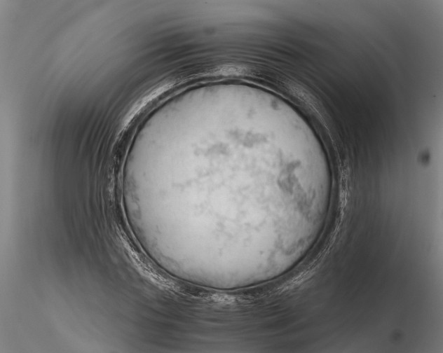 X0000115680827200912031417