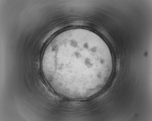 X0000115680829200912031417