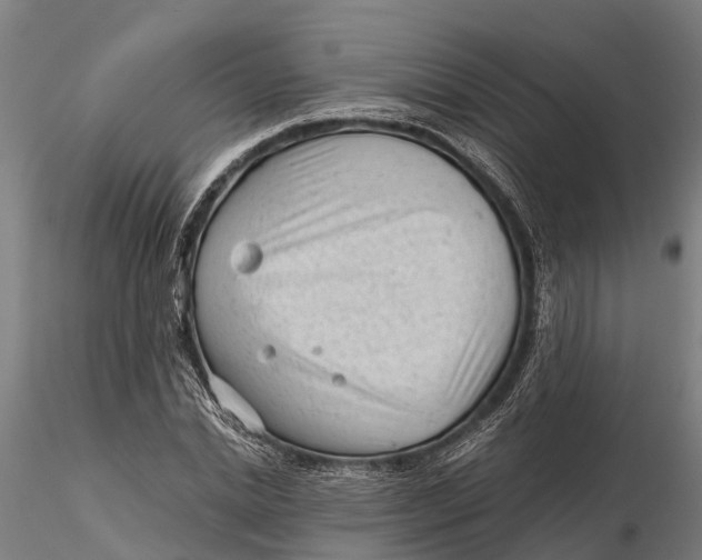 X0000115680830200912031417