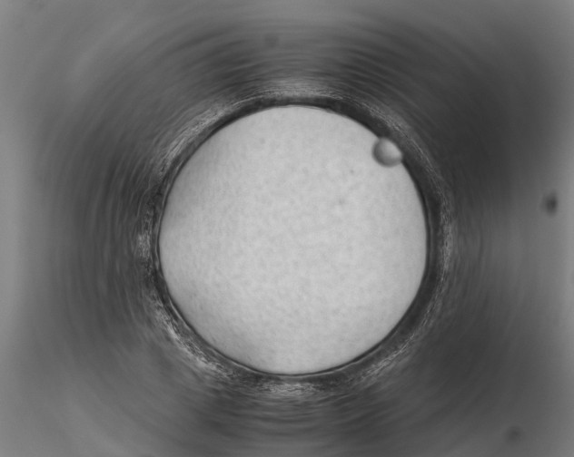 X0000115680833200912031417