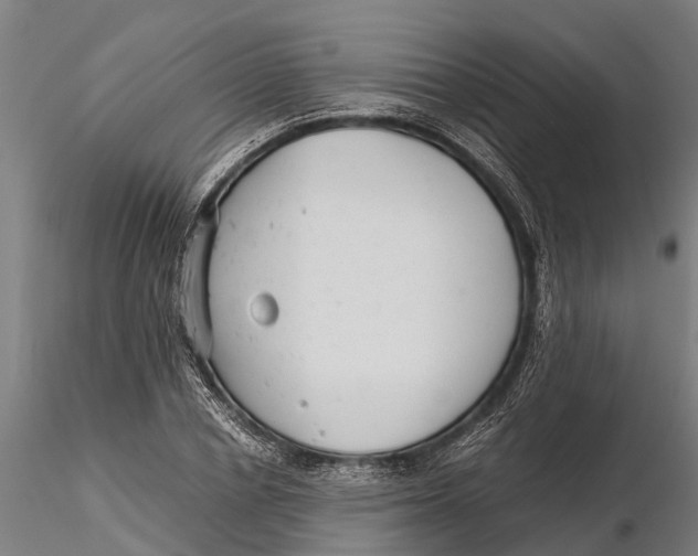 X0000115680834200912031417