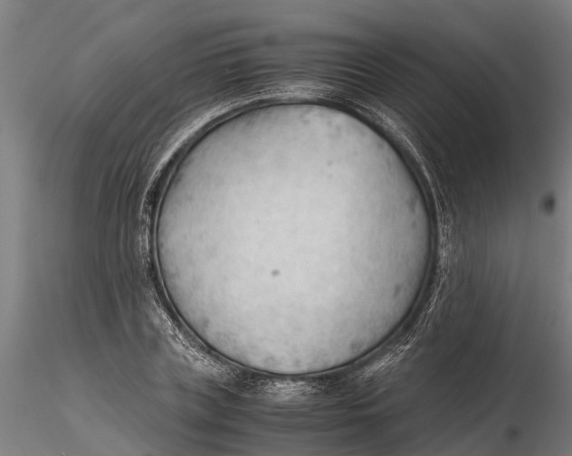 X0000115680835200912031417