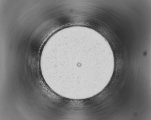 X0000115680836200912031417