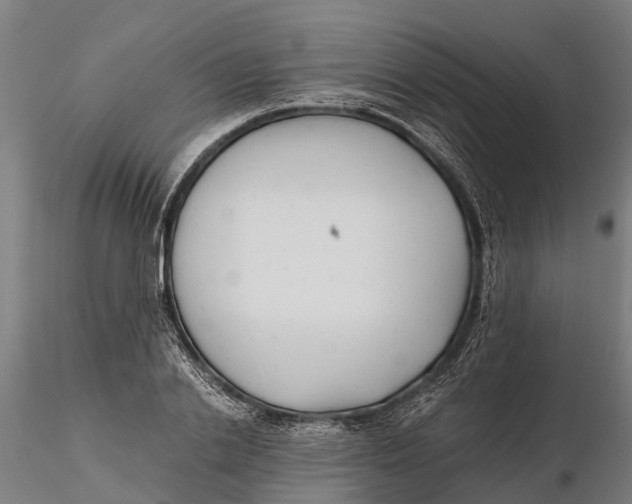 X0000115680838200912031417