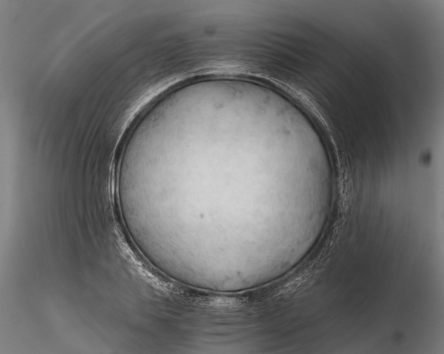 X0000115680839200912031417