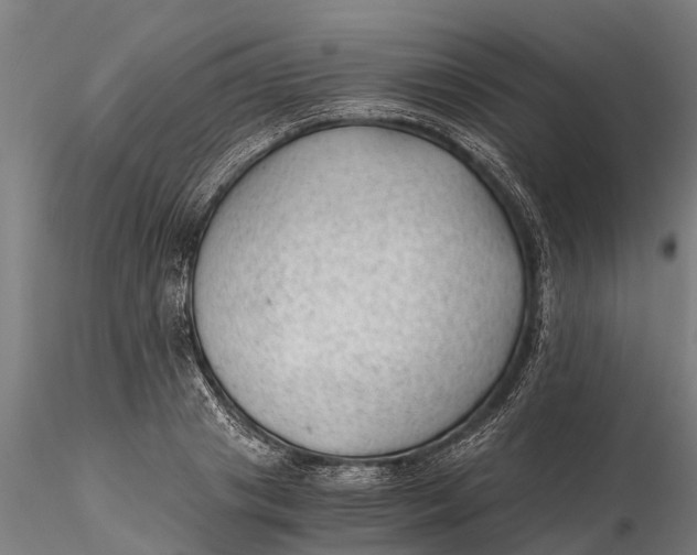 X0000115680841200912031417