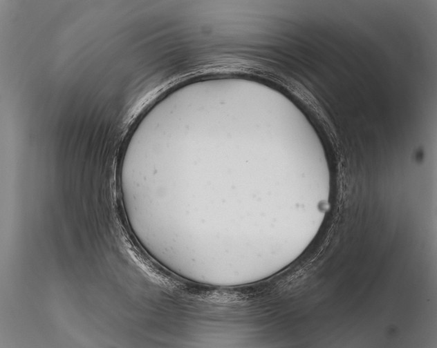 X0000115680842200912031417