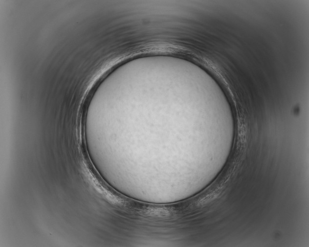 X0000115680843200912031417