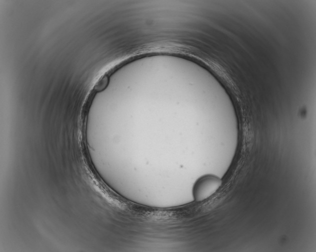 X0000115680846200912031418